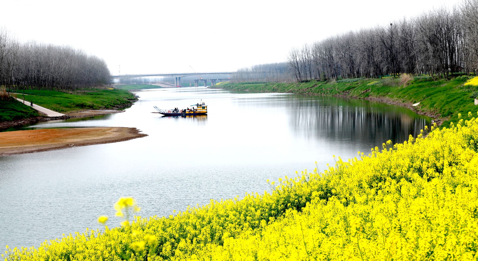 埠河鎮(zhèn)最新發(fā)展動(dòng)態(tài)與變遷，埠河鎮(zhèn)發(fā)展動(dòng)態(tài)與變遷新探