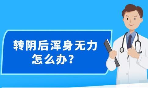 新澳精準(zhǔn)資料免費(fèi)提供網(wǎng)站,數(shù)據(jù)支持計(jì)劃設(shè)計(jì)_Max32.169