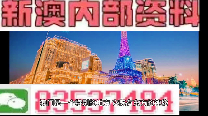 2024新澳門跑狗圖今晚特,高效解讀說明_安卓版28.550