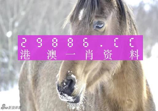 澳門一肖一碼100%準(zhǔn)確_,經(jīng)典案例解釋定義_終極版25.137