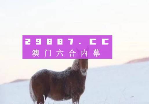 澳門王中王一肖一特一中,效率資料解釋落實_精英版201.123