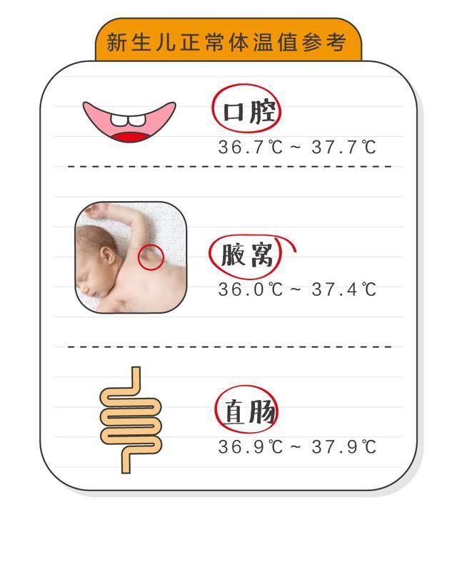 最新發(fā)燒標(biāo)準(zhǔn)，深入了解身體發(fā)熱的征兆與應(yīng)對(duì)方法，最新發(fā)燒標(biāo)準(zhǔn)，身體發(fā)熱征兆解析及應(yīng)對(duì)方法指南