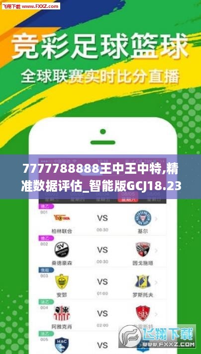 7777788888王中王中王特色功能,決策信息解析說明_Q59.633