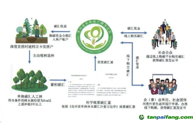 新澳2024年精準特馬資料,創(chuàng)新設計執(zhí)行_經典款89.177