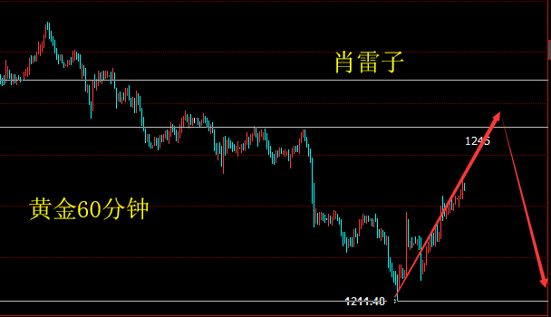 新澳黃金六肖i,深層策略數(shù)據(jù)執(zhí)行_至尊版46.846