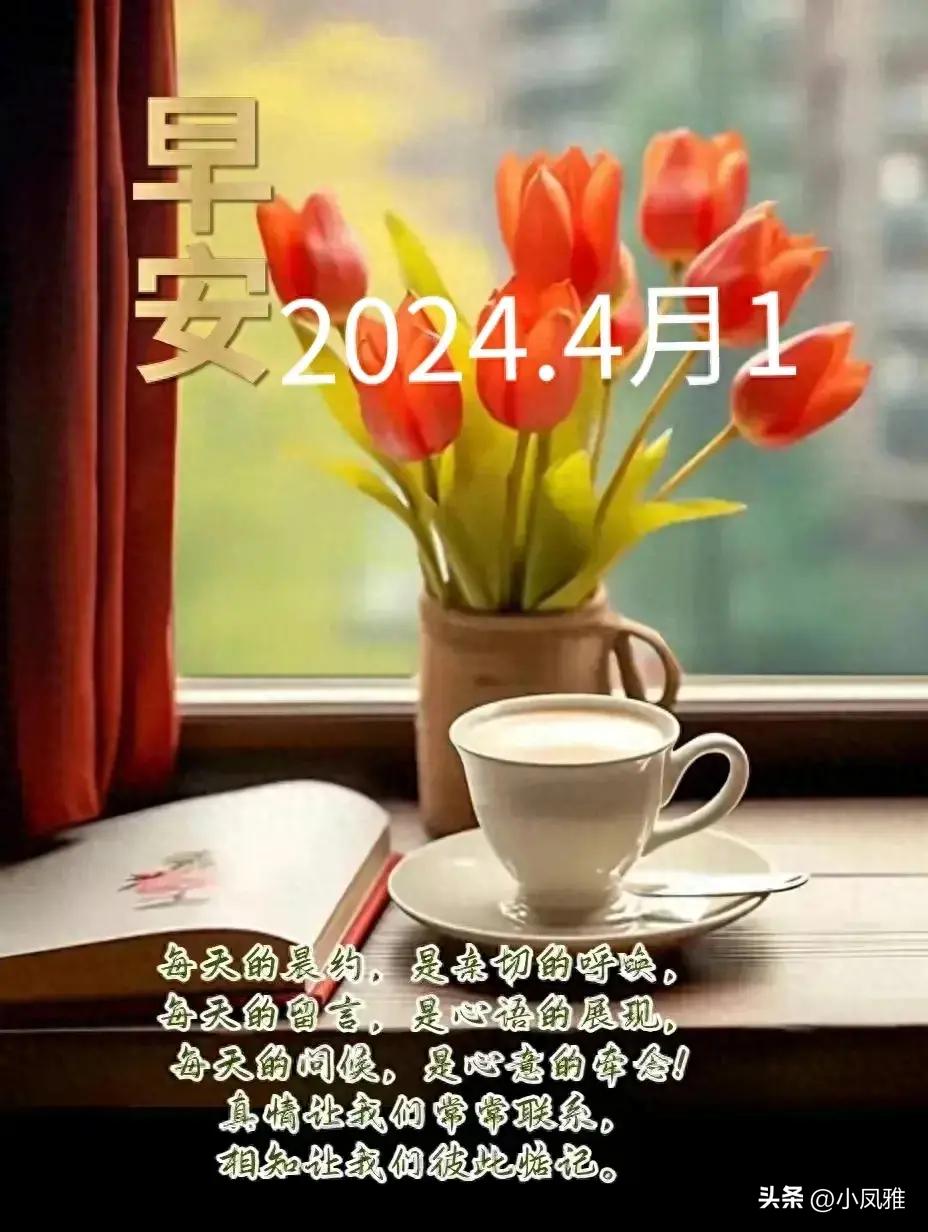 2024天天彩全年免費(fèi)資料,具體操作步驟指導(dǎo)_手游版63.278