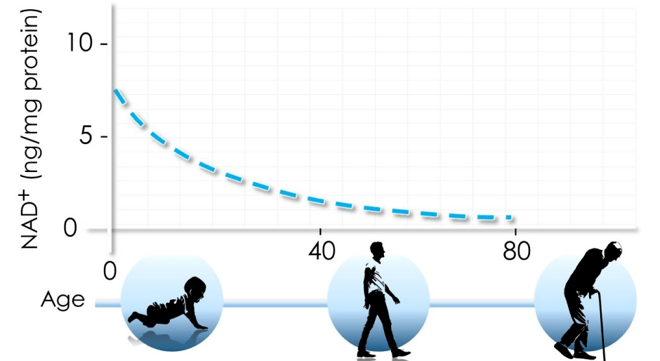 2024新澳三期必出一肖,最新動(dòng)態(tài)解答方案_超級(jí)版58.577