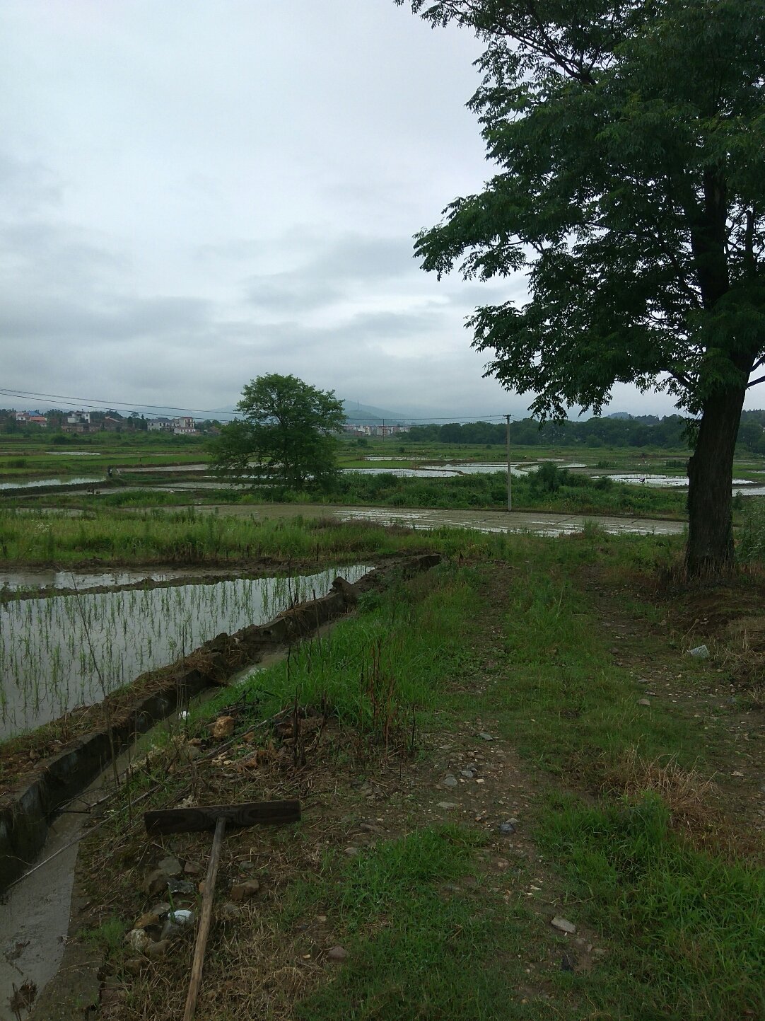 玉潭鎮(zhèn)最新天氣預(yù)報，玉潭鎮(zhèn)天氣預(yù)報更新通知