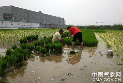 王廟鎮(zhèn)最新天氣預(yù)報(bào)及詳細(xì)氣象分析，王廟鎮(zhèn)天氣預(yù)報(bào)及氣象分析詳解