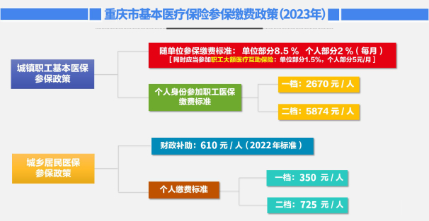 武隆縣醫(yī)療保障局最新發(fā)展規(guī)劃，構(gòu)建全方位醫(yī)療保障體系，武隆縣醫(yī)療保障局最新發(fā)展規(guī)劃，構(gòu)建全方位醫(yī)療保障體系